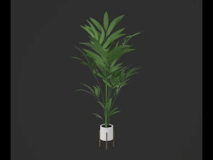 Indoor plants 3D Model