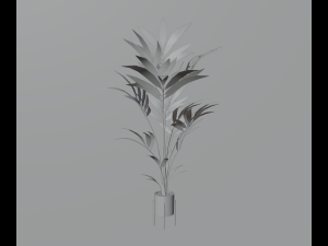 Indoor plants 3D 模型