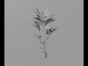 Indoor plants 3D Model