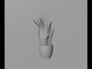 Indoor plants 3D 模型