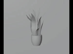 Indoor plants 3D Model