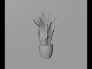 Indoor plants 3D 模型