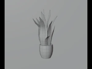 Indoor plants 3D Model