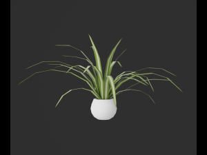 Indoor plants 3D 模型