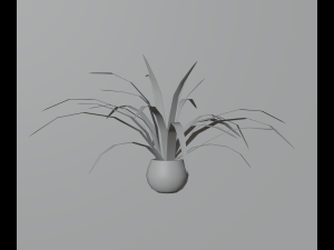 Indoor plants 3D 模型