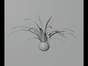Indoor plants 3D Model
