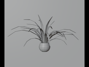 Indoor plants 3D 模型