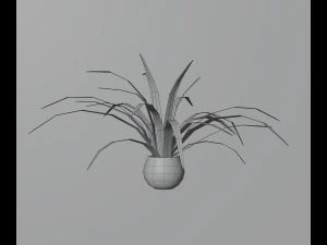 Indoor plants 3D Model