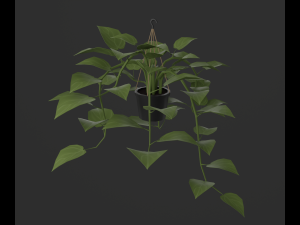 Indoor plants 3D 模型