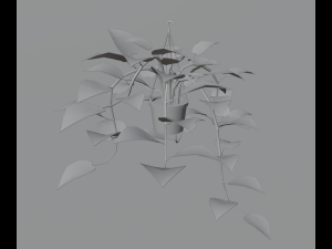 Indoor plants 3D 模型