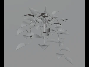 Indoor plants 3D Model