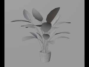 Indoor plants 3D 模型