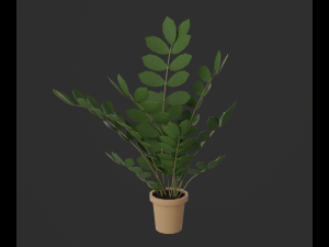 Indoor plants 3D 模型