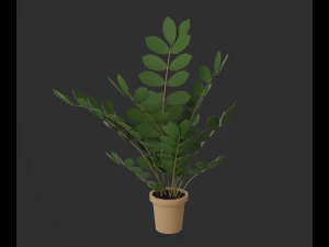 Indoor plants 3D Model