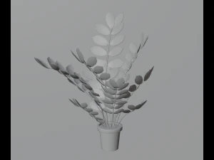 Indoor plants 3D Model