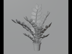 Indoor plants 3D 模型