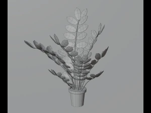 Indoor plants 3D Model