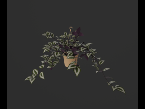 Indoor plants 3D 模型