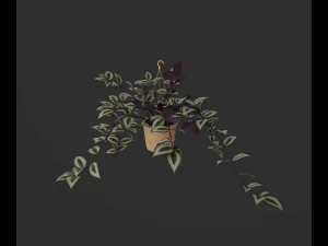 Indoor plants 3D Model