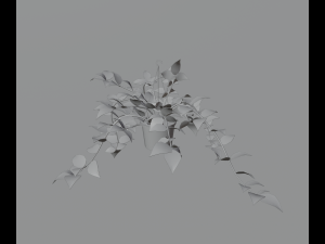 Indoor plants 3D 模型
