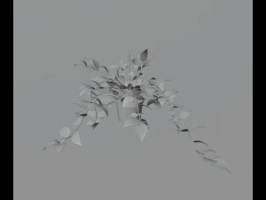 Indoor plants 3D Model