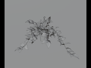 Indoor plants 3D 模型