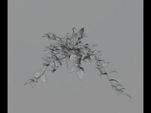 Indoor plants 3D Model