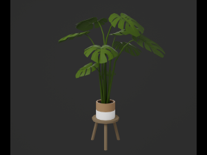 Indoor plants 3D 模型