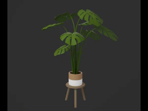 Indoor plants 3D Model