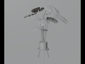 Indoor plants 3D 模型