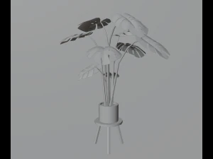 Indoor plants 3D Model