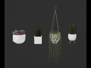 Indoor plants 3D 模型