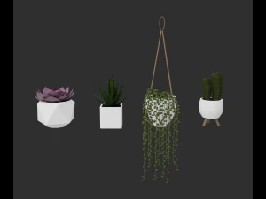 Indoor plants 3D Model