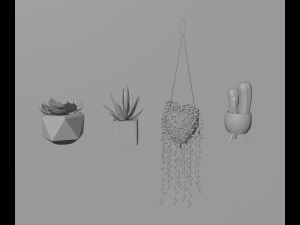 Indoor plants 3D 模型
