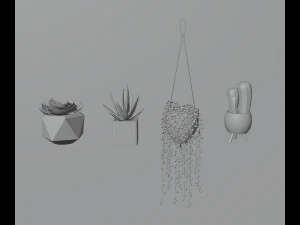 Indoor plants 3D Model