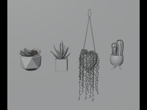 Indoor plants 3D 模型