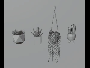 Indoor plants 3D Model