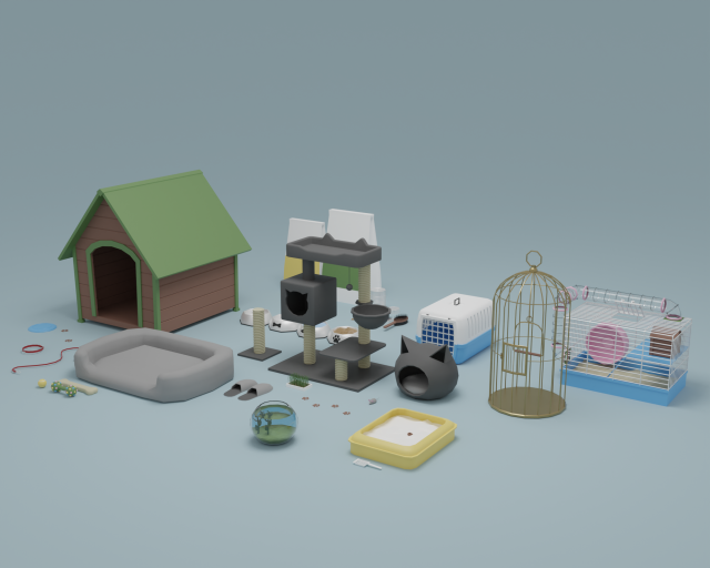 Pet accessories 3D Модель .c4d .max .obj .3ds .fbx .stl .blend 
