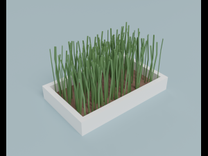 Pet accessories 3D Модель