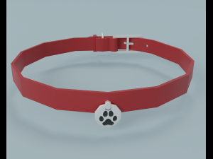 Pet accessories 3D Модель