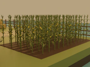 Farm 3D Model