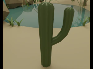 Oasis 3D Model