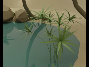 Oasis 3D Model