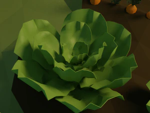 Vegetable garden 3D Model