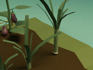 Vegetable garden 3D Model
