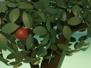 Vegetable garden 3D Model