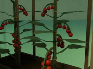 Vegetable garden Model 3D
