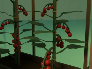 Vegetable garden 3D Model
