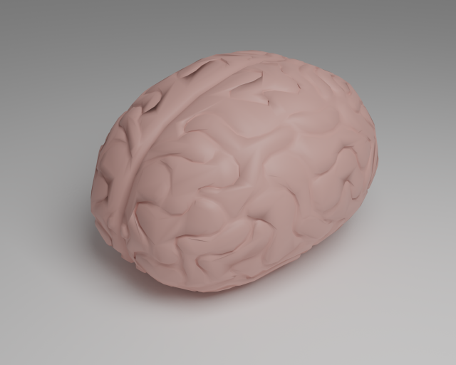 Brain 3D Model .c4d .max .obj .3ds .fbx .stl .blend 