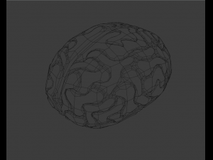 Brain 3D Model